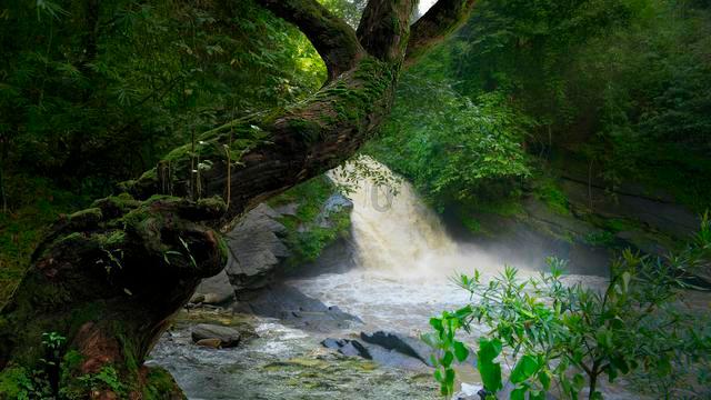 承德：“温泉+”助力文旅康养产业升温
