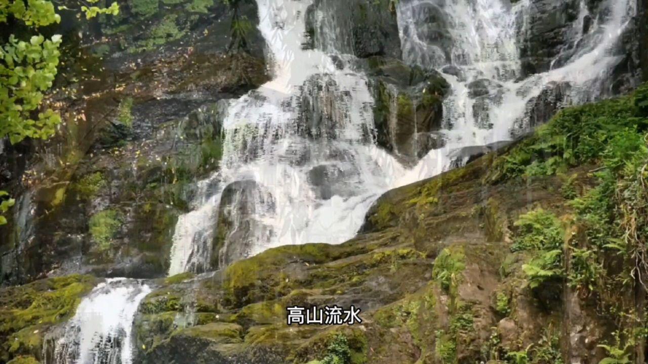 月光影视